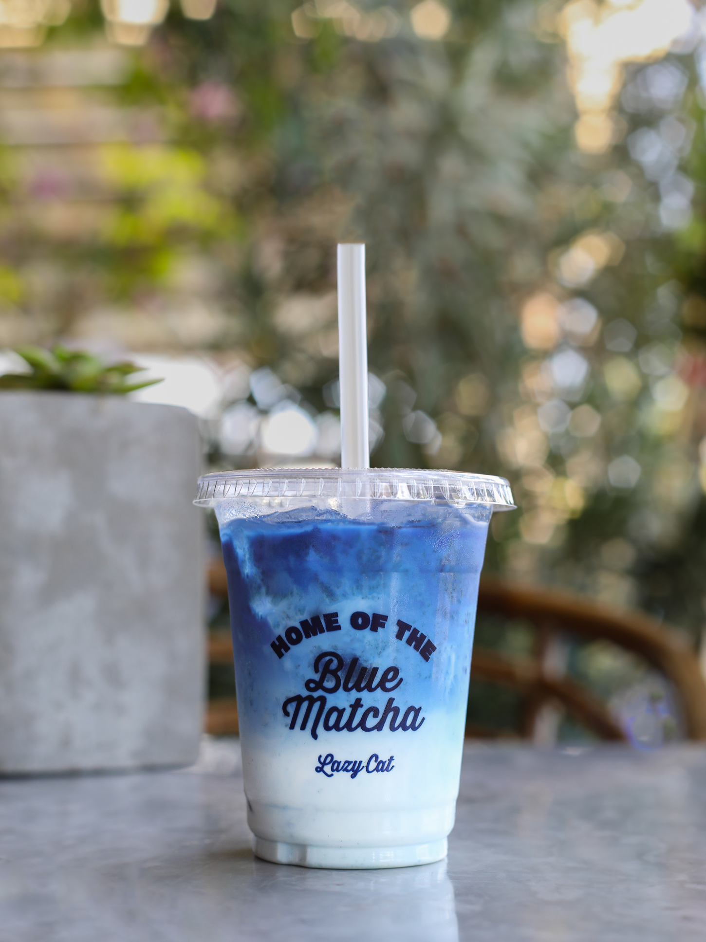 Cold Blue Matcha